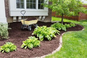 Enhance Your Garden with High-Quality Mulch for Healthy Growth